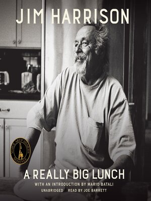 cover image of A Really Big Lunch